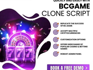 Minimal Cost BC.Game Clone Script: Start Your Online Casino Business Fast